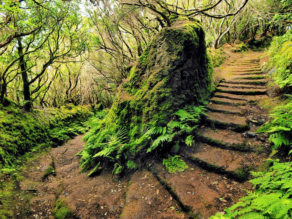 Casa Villa Tenerife Лас-Гальєтас Екстер'єр фото